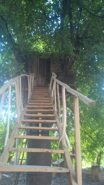 Фото номера Budget Double Room in a Tree Гостевой дом Areni House B&amp;B г. Арени 2