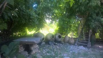 Фото номера Budget Double Room in a Tree Гостевой дом Areni House B&amp;B г. Арени 3
